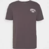 Pier One Uomo GRAPHIC T-SHIRT - T-shirt Con Stampa - Brown -Offerta Economica Pier One 260d849b1e6643349f8a772a239db777