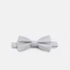 Pier One Uomo Papillon - Silver