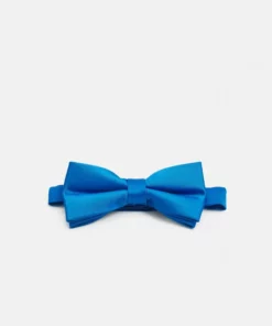 Pier One Uomo Papillon - Blue