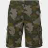 Pier One Uomo Shorts - Dark Green -Offerta Economica Pier One 7af65f9e6d1a421baa803dbf882ec86b