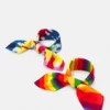Pier One PRIDE BANDANAS UNISEX 2 PACK - Foulard - Multi-coloured